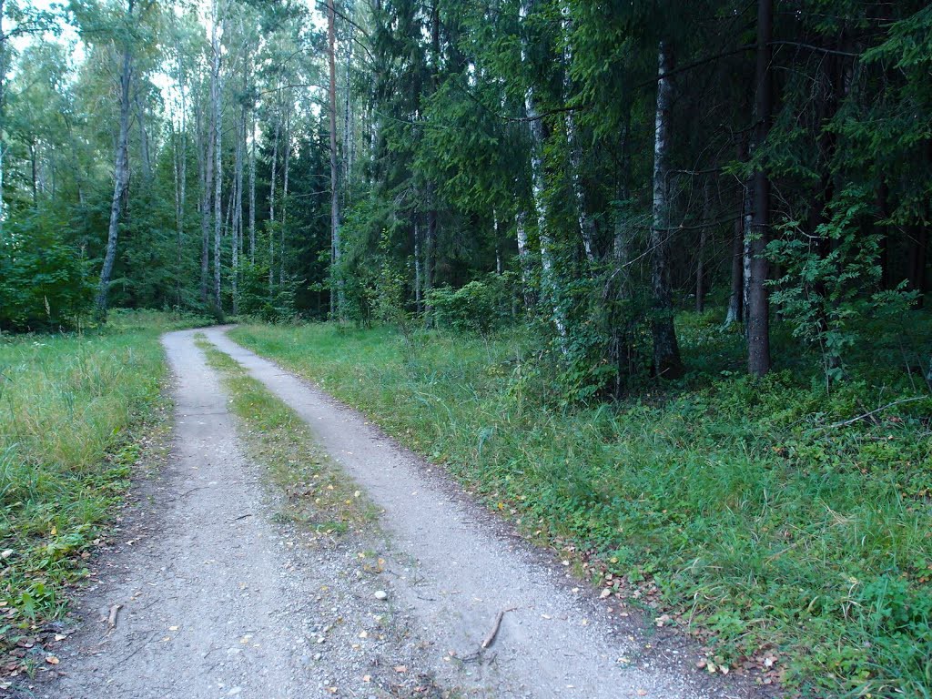 50: The cycling route 