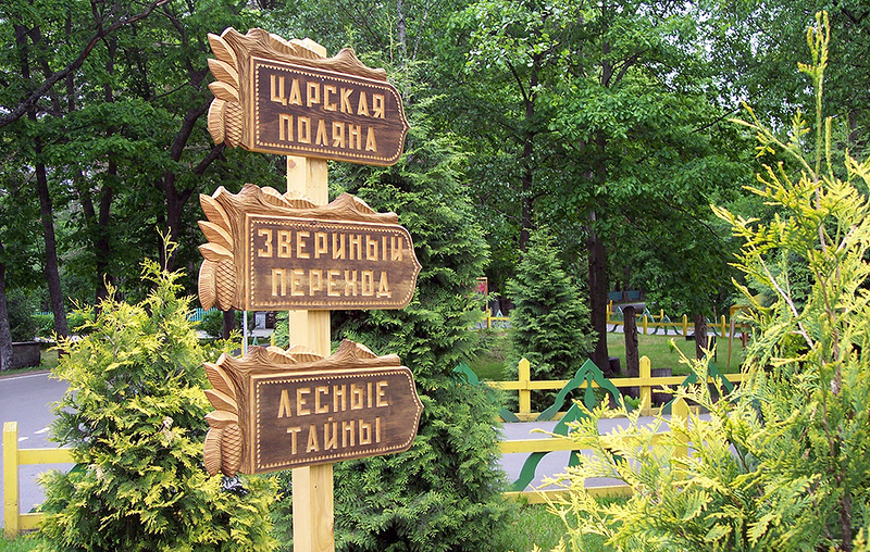 An entrance fee to national park “Belowegskaya puscha”